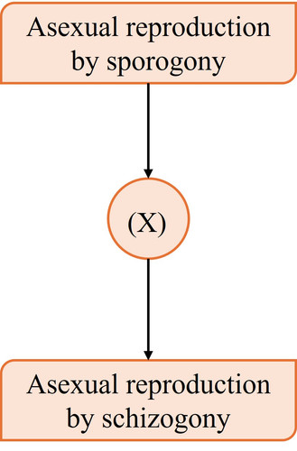 Picture3.jpg