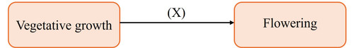 Picture4.jpg