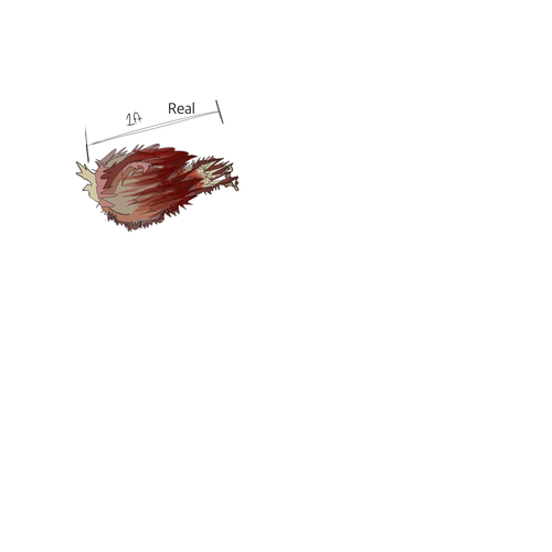 Untitled19 20260428111440.png