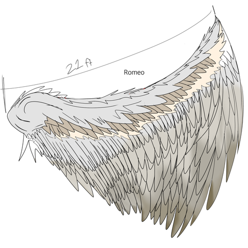 Untitled19 20260428111418.png