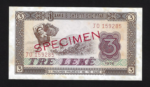 894.jpg