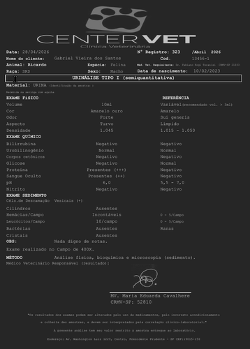 2026 04 29 12 02 49 RICARDO 13456 1 URINALISE 28.04.2026.pdf Okular.png