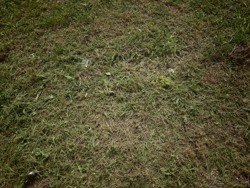 76.jpg