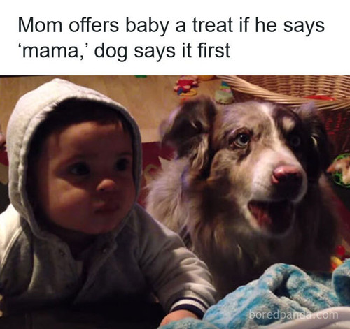 animals funny parenting.jpg
