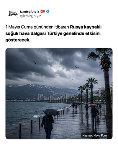 9879e9ba3df9.jpg
