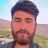 temp.png