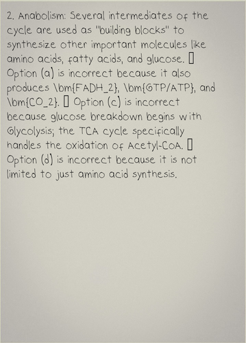 a97f22e2 7913 4133 bcb7 561c349117e6 1.png