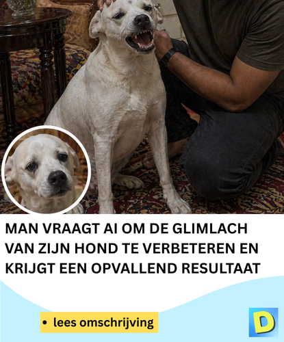  Doldwaas Dagblad 142 (26).png