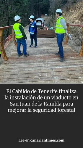067cfa77e647.png