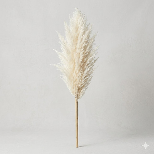 512561c8 1a29 4f9c b7bc b2b5a1b8e769.jpg