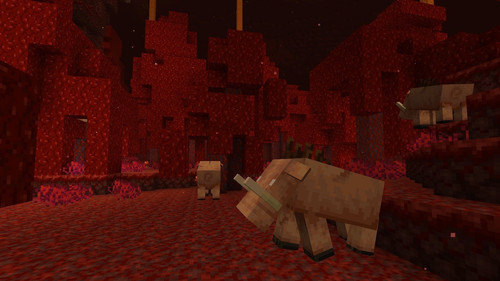 NQRYRh7.jpg