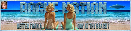 BeachD Banner.jpg