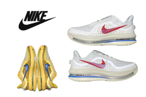 713Nike Pegasus Premium Forrest Gump.jpg