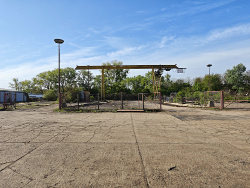 142.jpg