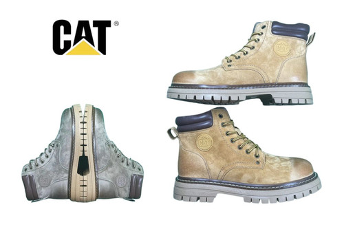 612 CAT.jpg