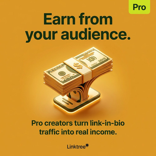 05c monetization pro.jpg