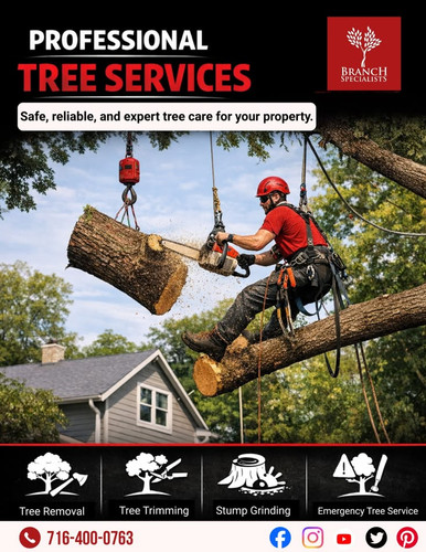 Safe Tree Removal and Stump Grinding Experts in Buffalo.jpg