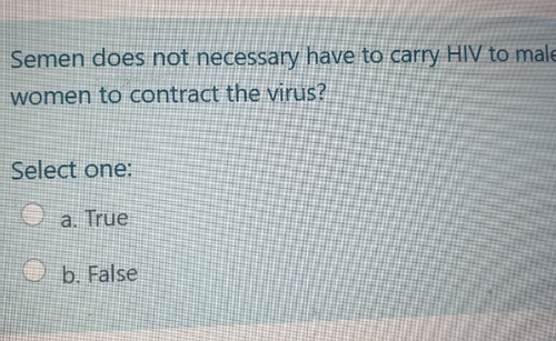 temp.png