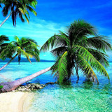 Ocean