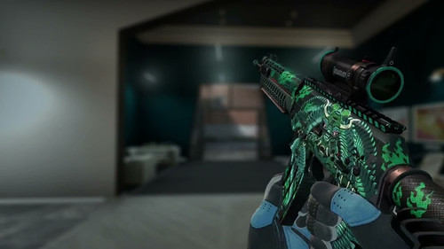 rqX9m6m.jpg