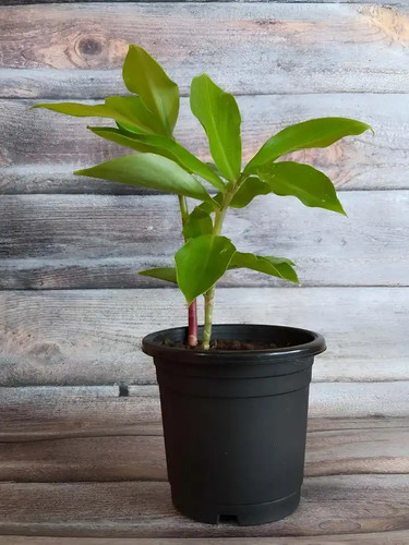 oxTguhL3 3edd06eb0c184dfd8bd4c4a5ee808b2f.jpg