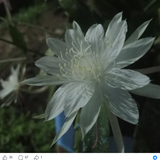 Screenshot 25.png