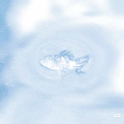 Camera 1040g3k831kd3ehnl30b05ppgis5n3bi0gvnmr08.jpg