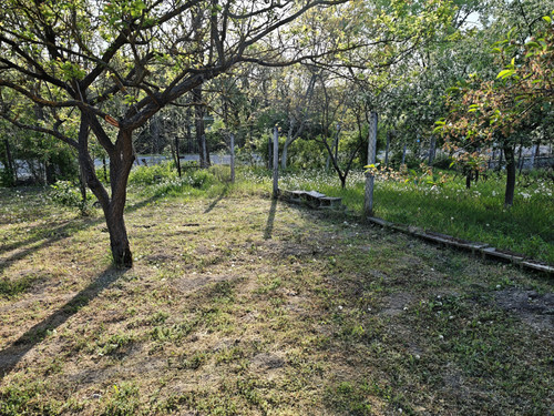 133.jpg