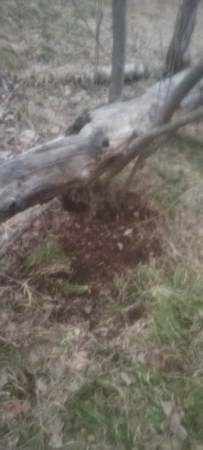 IMG 20260428 200827.jpg