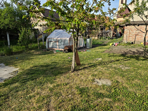 134.jpg