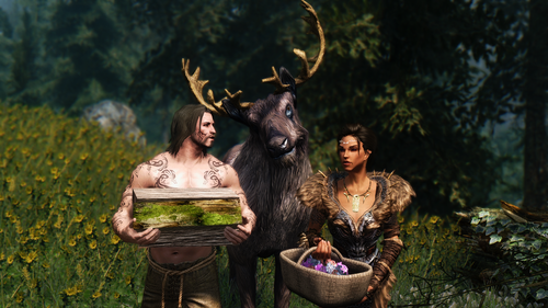 the case in the woods 29650867255 o