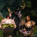 the case in the woods 29650867255 o