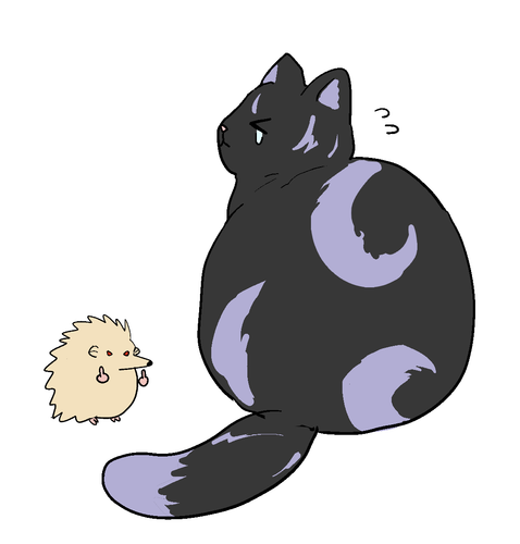 IMG 4128.png