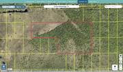 brevard 2441688 regrid.jpg