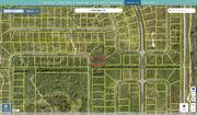 brevard 2909797 regrid.jpg