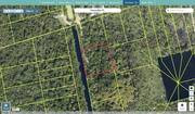 brevard 2003722 regrid.jpg