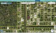 brevard 2947813 regrid.jpg