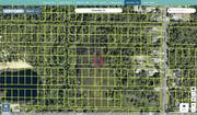 brevard 2215959 regrid.jpg