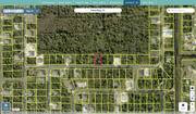 brevard 2920576 regrid.jpg