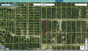 marion 1812 010 017 regrid.jpg