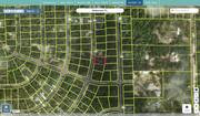 marion 9037 1222 18 regrid.jpg
