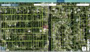 citrus 1109531 regrid.jpg
