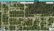 citrus 1396891 regrid.jpg