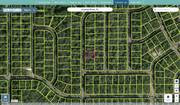 citrus 1423139 regrid.jpg