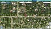 marion 9036 1169 04 regrid.jpg