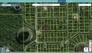 marion 0013 029 016 regrid.jpg