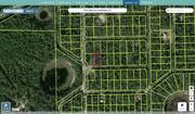 marion 0013 029 017 regrid.jpg