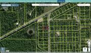 marion 0013 032 013 regrid.jpg