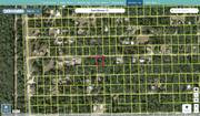 marion 0051 022 022 regrid.jpg
