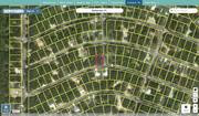marion 2487682 regrid.jpg